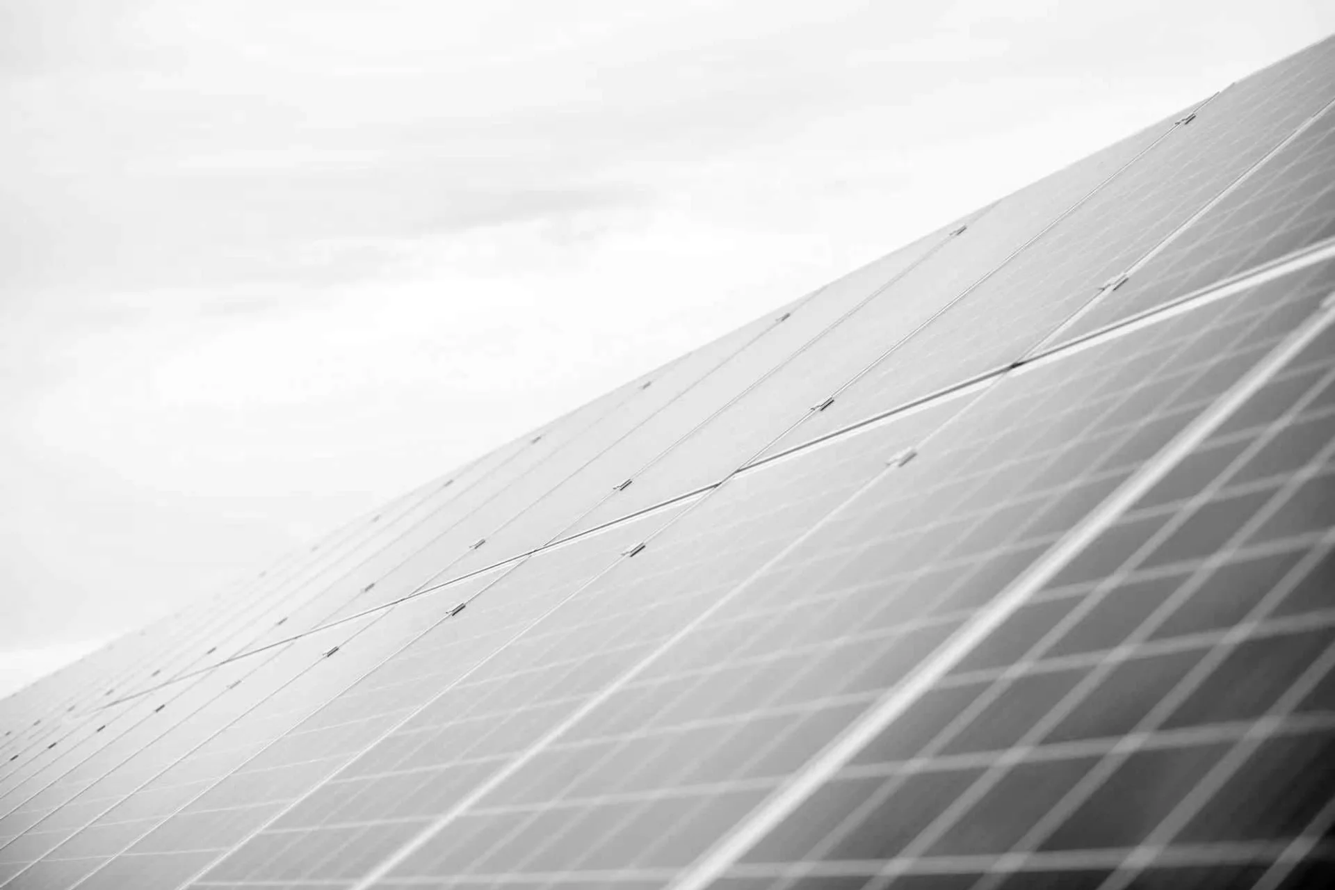 PCG Oceania — Renewable Energy website by Studio Inbetwn